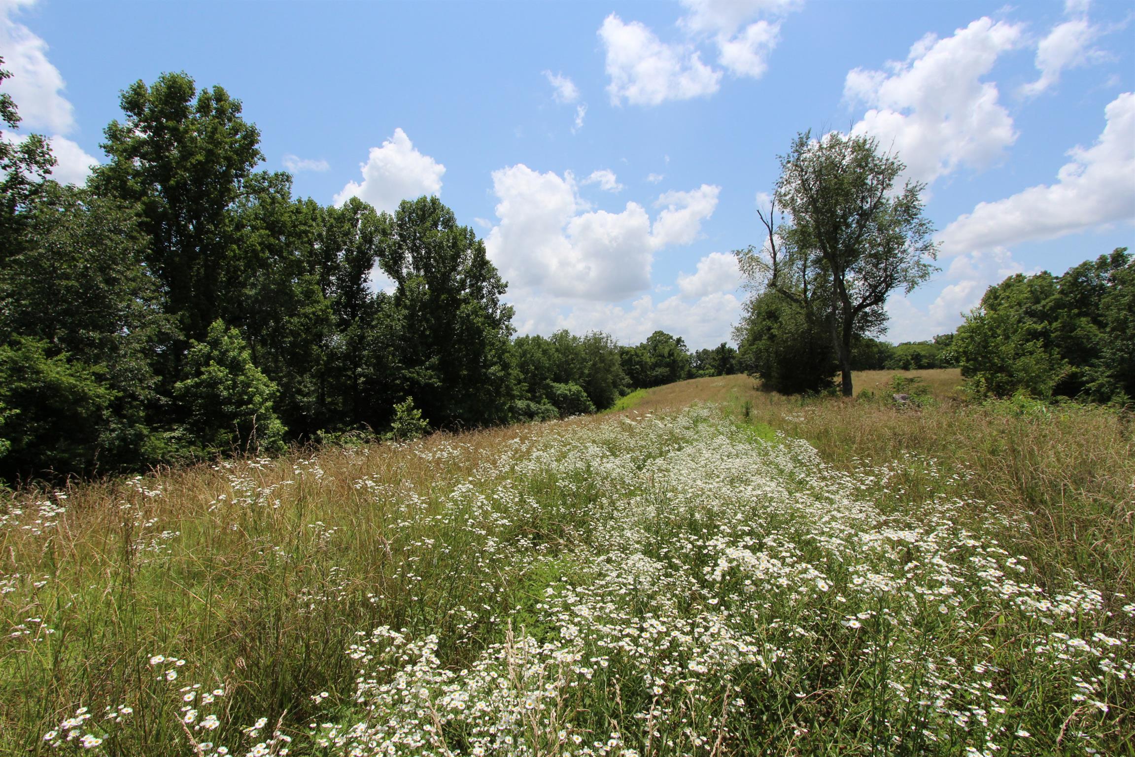 0 Raleigh-Elam Road Santa Fe, TN 38482 - Photo 1 of 17 a view of a bunch of trees and bushes