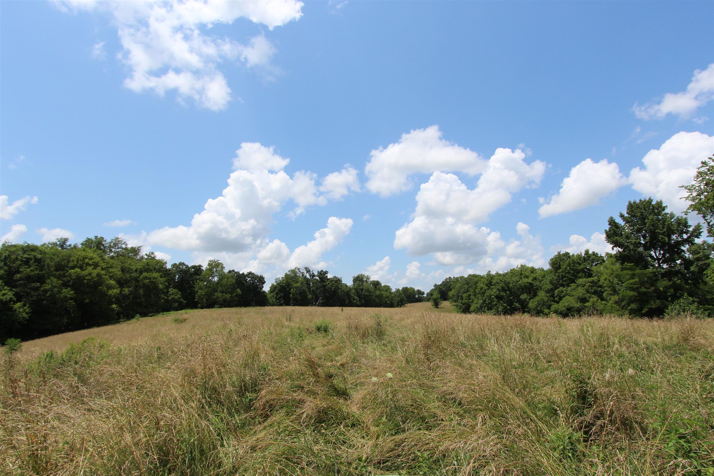 0 Raleigh-Elam Road Santa Fe, TN 38482 - Photo 12 of 17 a view of a lake and with trees in the background