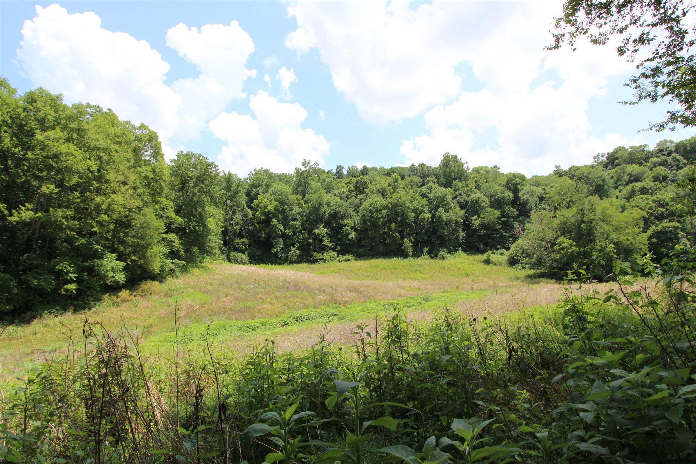 0 Raleigh-Elam Road Santa Fe, TN 38482 - Photo 15 of 17 a view of an ocean from a yard