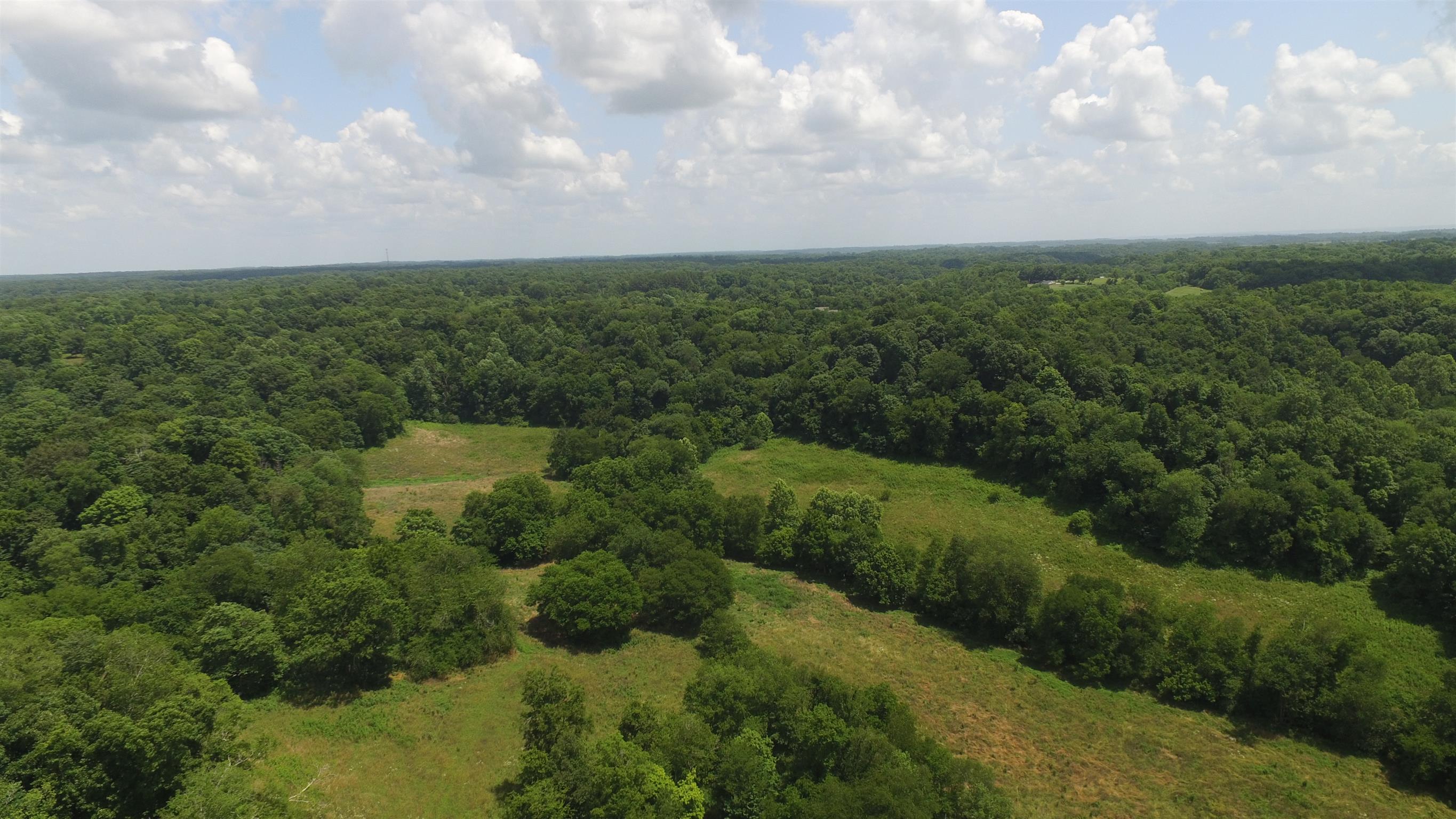 0 Raleigh-Elam Road Santa Fe, TN 38482 - Photo 4 of 17 a view of a green field with lots of bushes