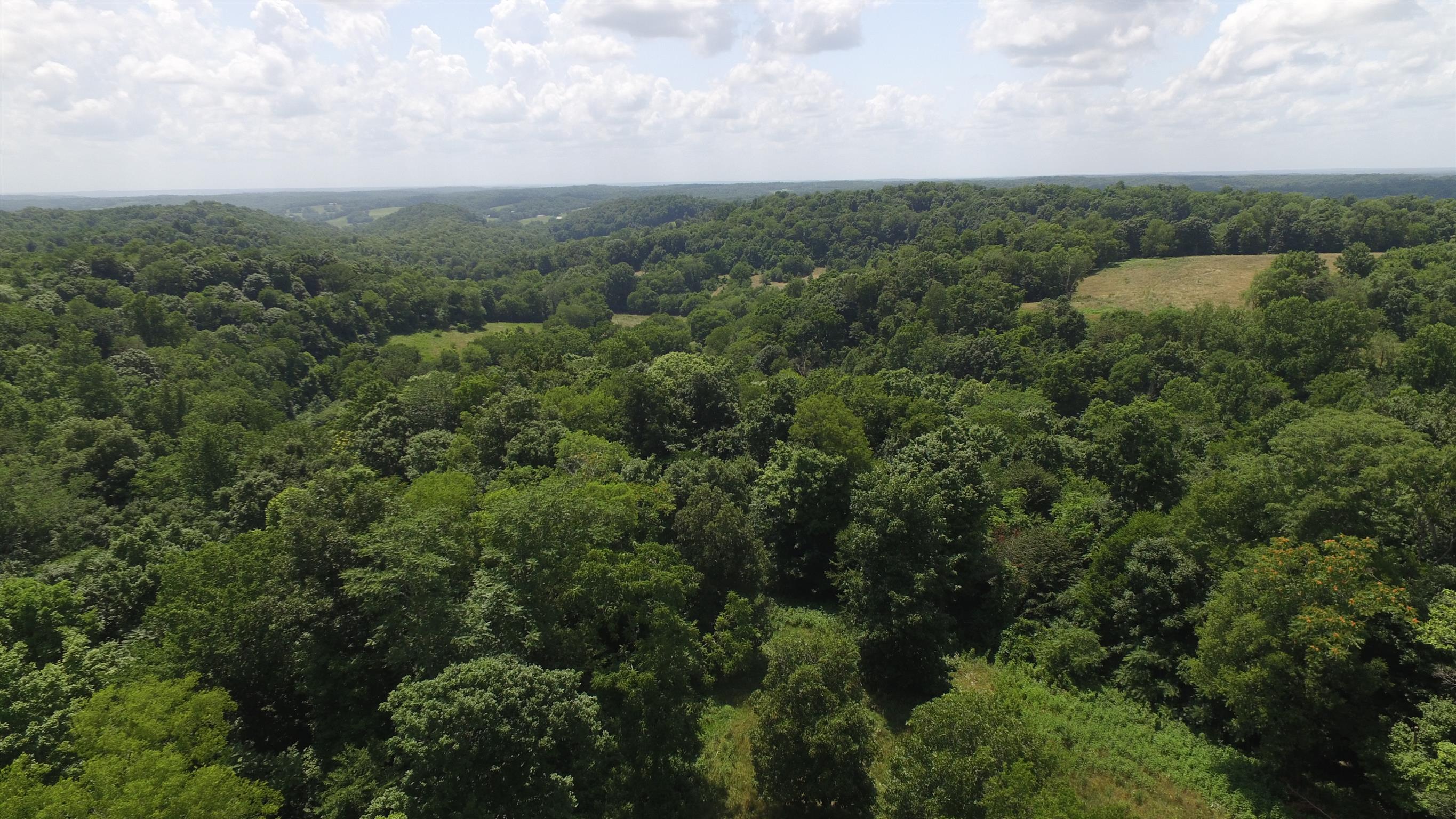 0 Raleigh-Elam Road Santa Fe, TN 38482 - Photo 10 of 17 an aerial view of a residential houses with outdoor space and trees