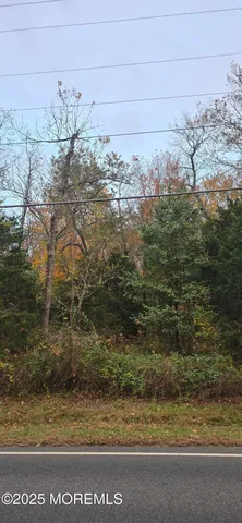 a bird view of a garden