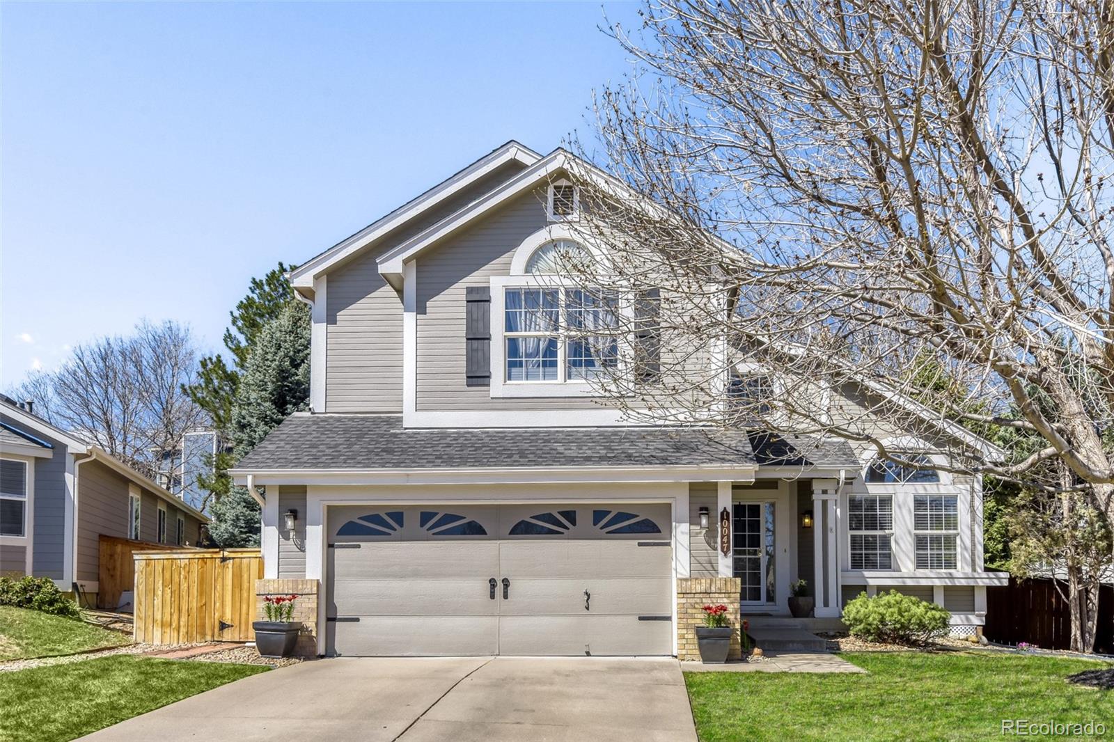 10047 Andrush Court Lone Tree, CO 80124 - Photo 1 of 37 a front view of a house with a yard