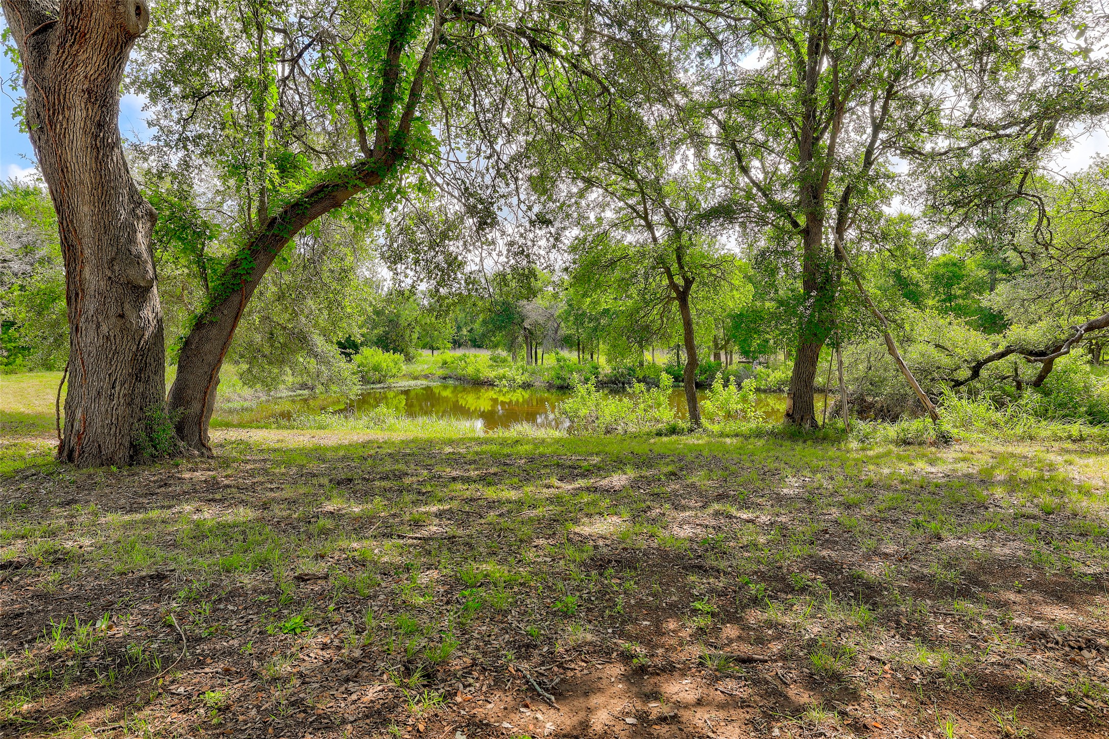 404 Mustang Way Georgetown, TX 78633 - Photo 39 of 40