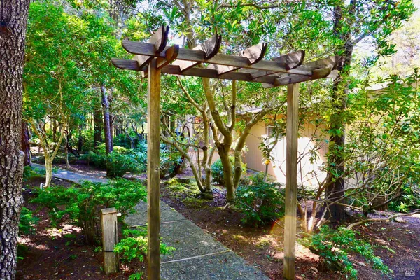 a backyard of a house with lots of plants and trees