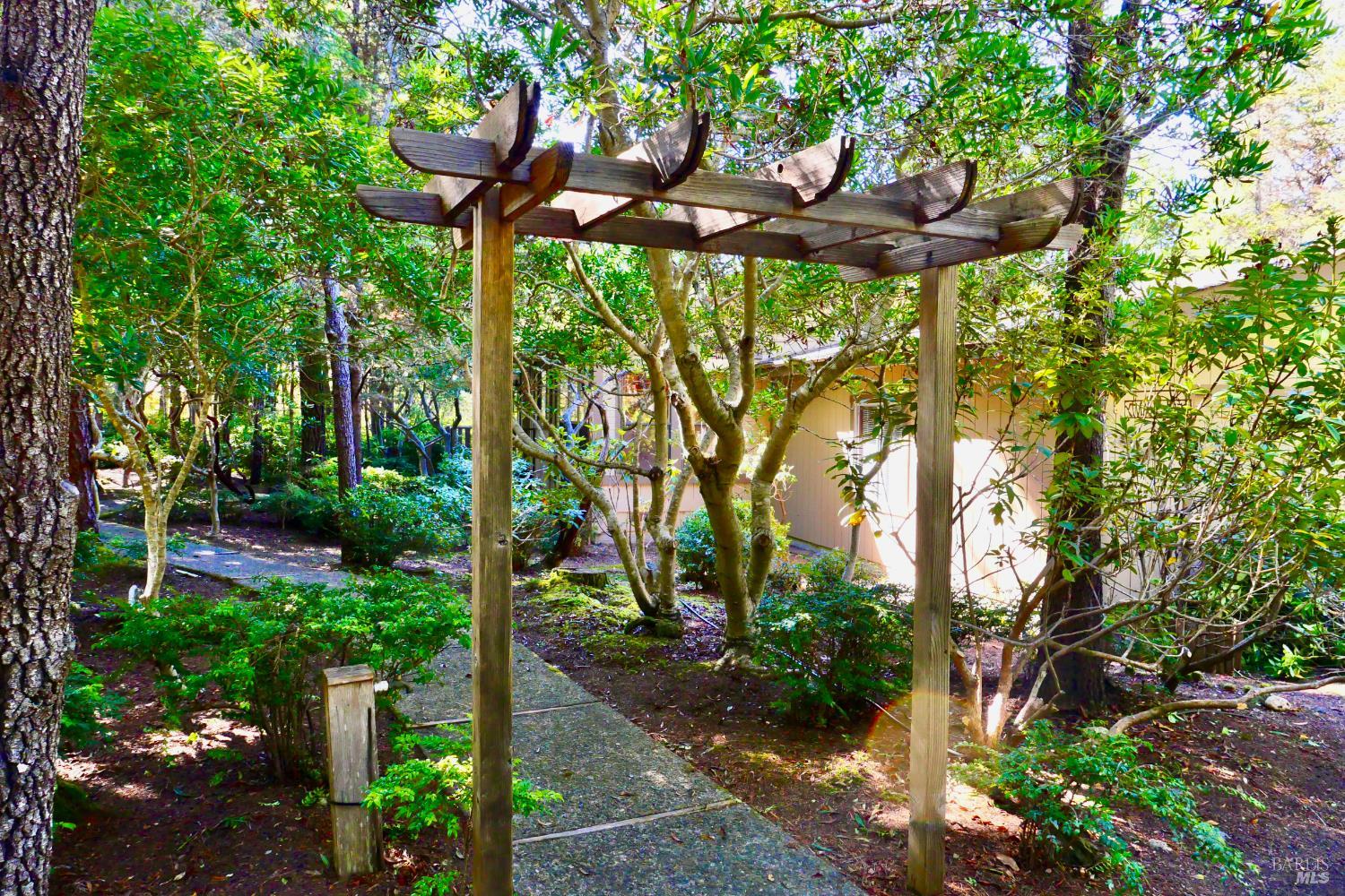 a backyard of a house with lots of plants and trees