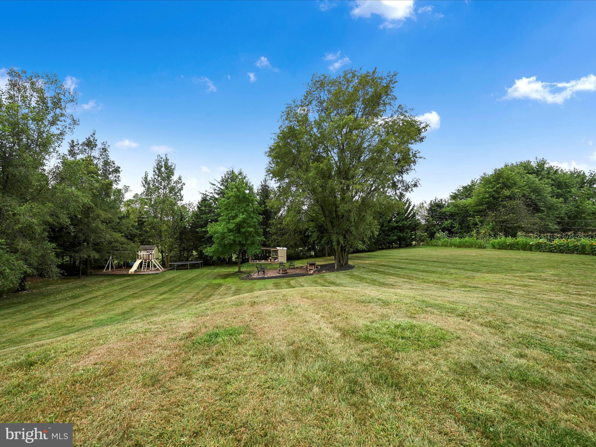 243 Dove Road Fredericksburg, PA 17026 - Photo 21 of 29 Yard