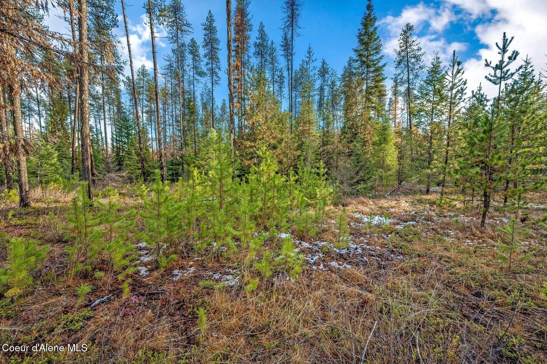 Tbb Lot 1 Reeder Bay Road Nordman, ID 83848 - Photo 49 of 53 Open Areas