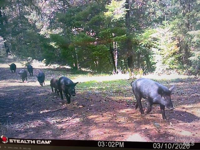 17707 Rockpile Road Geyserville, CA 95441 - Photo 16 of 25