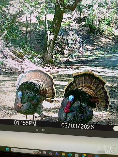 17707 Rockpile Road Geyserville, CA 95441 - Photo 17 of 25