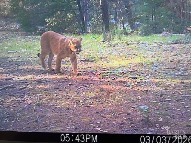 17707 Rockpile Road Geyserville, CA 95441 - Photo 18 of 25