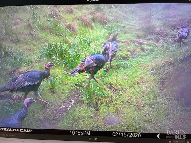 17707 Rockpile Road Geyserville, CA 95441 - Photo 19 of 25