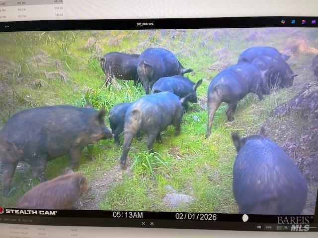 17707 Rockpile Road Geyserville, CA 95441 - Photo 20 of 25