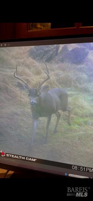 17707 Rockpile Road Geyserville, CA 95441 - Photo 23 of 25