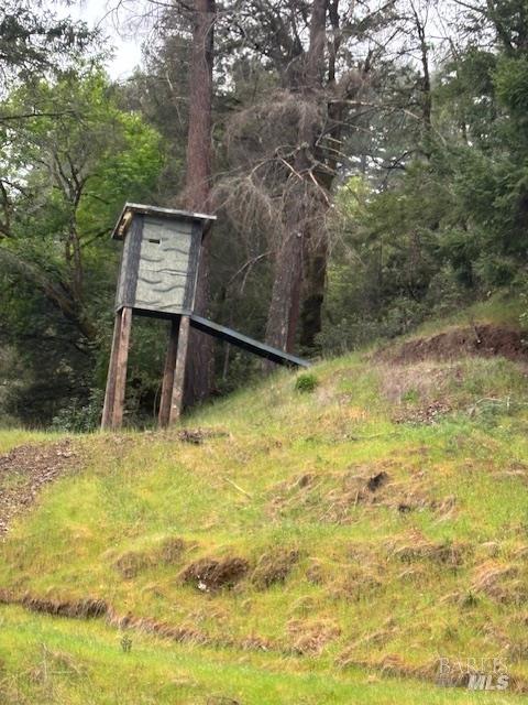 17707 Rockpile Road Geyserville, CA 95441 - Photo 25 of 25