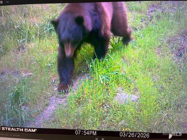 17707 Rockpile Road Geyserville, CA 95441 - Photo 8 of 25