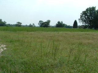 4439 Cotton Acres Road Sumter, SC 29153 - Photo 1 of 1