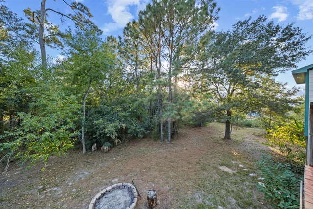 a view of a forest with trees in the background
