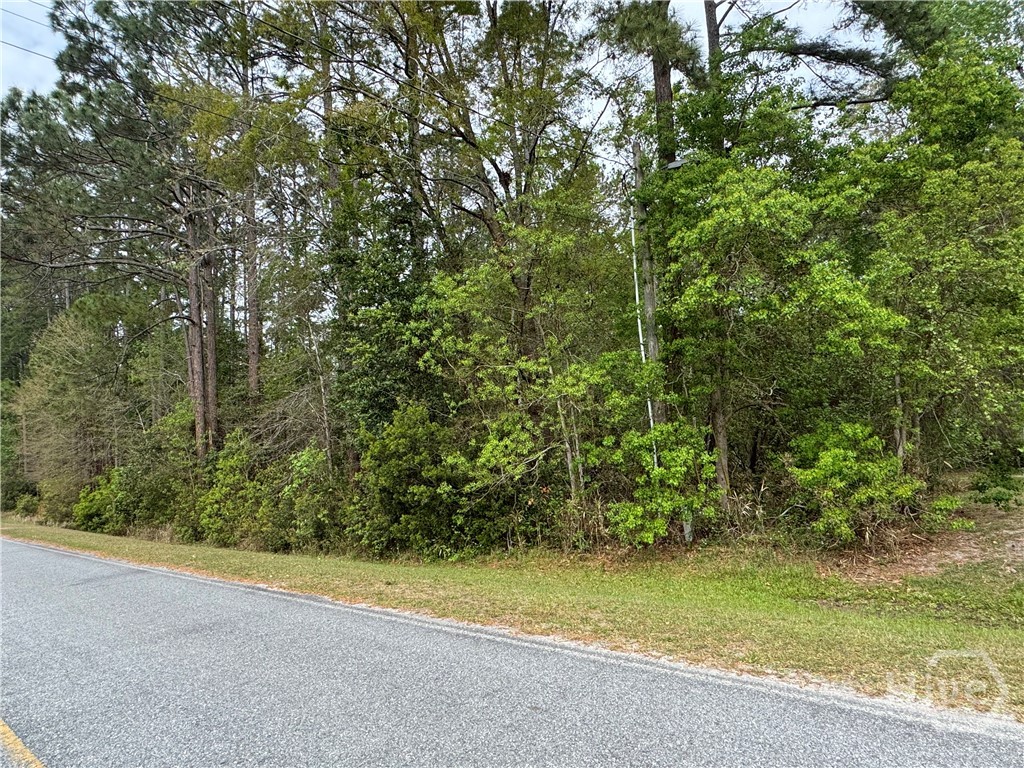 0 Oak (lot B) Street Rincon, GA 31326 - Photo 2 of 2