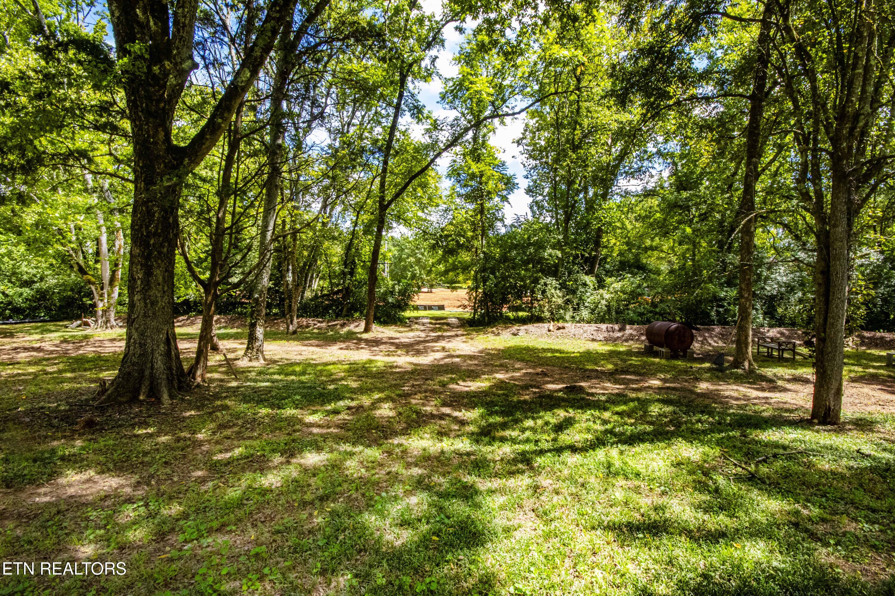 317 Everett Road Knoxville, TN 37934 - Photo 12 of 33 V19A4456