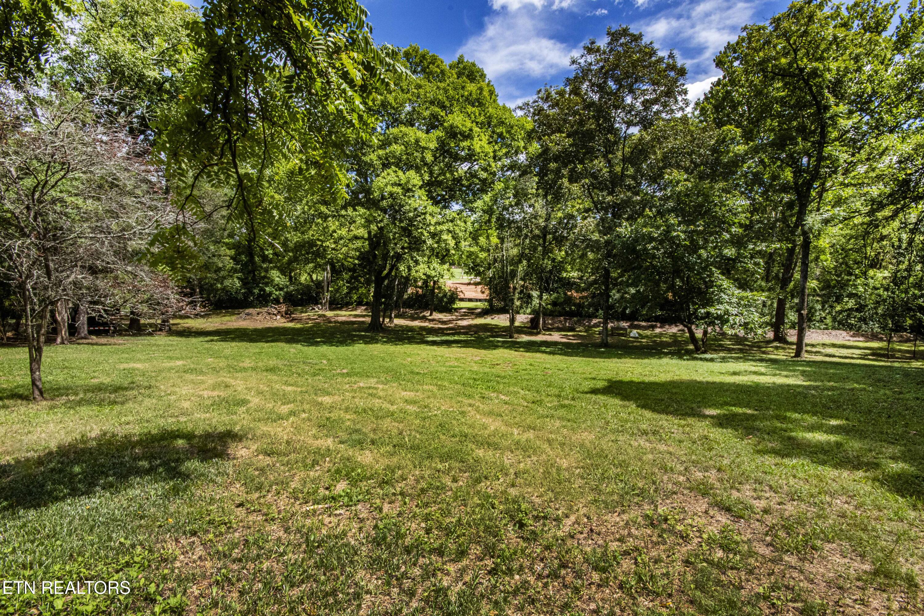 317 Everett Road Knoxville, TN 37934 - Photo 13 of 33 V19A4457