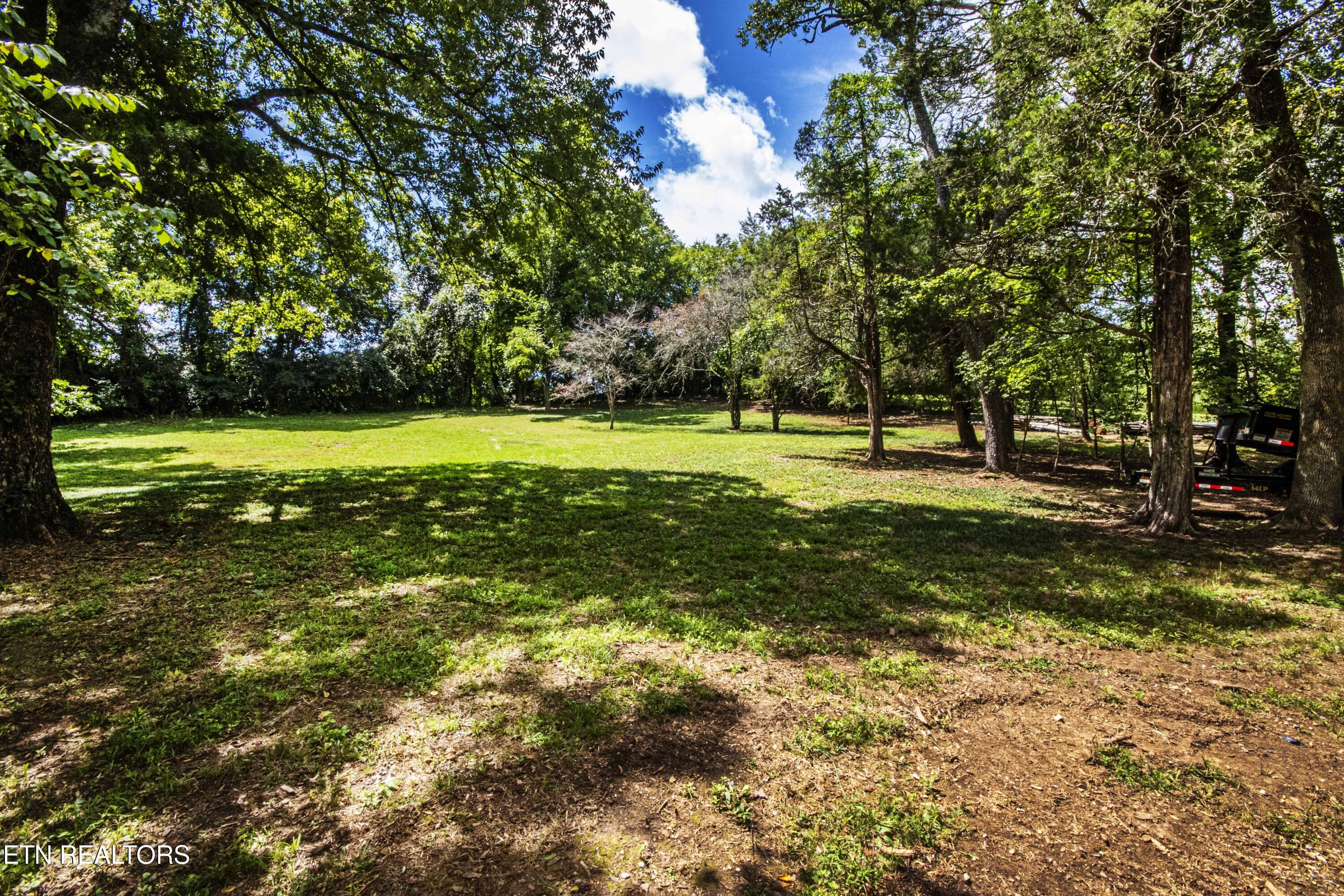 317 Everett Road Knoxville, TN 37934 - Photo 14 of 33 V19A4460