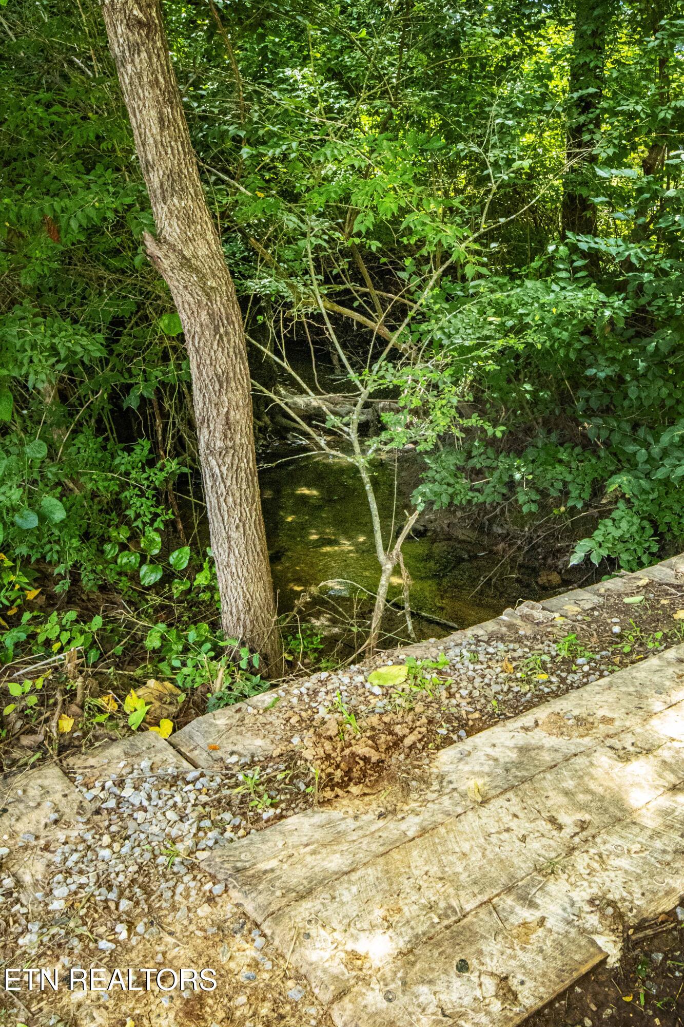 317 Everett Road Knoxville, TN 37934 - Photo 16 of 33 V19A4467