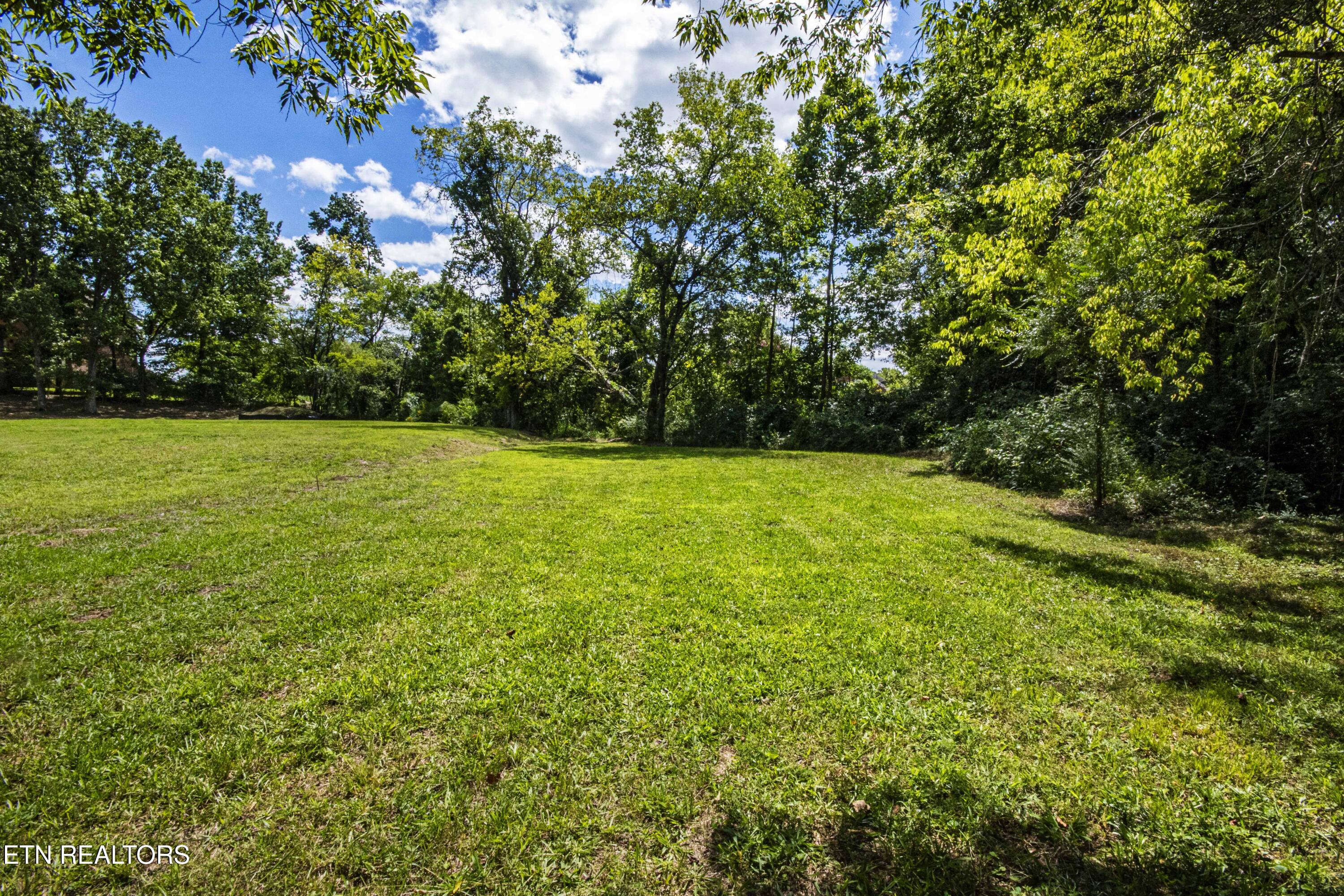 317 Everett Road Knoxville, TN 37934 - Photo 19 of 33 V19A4469