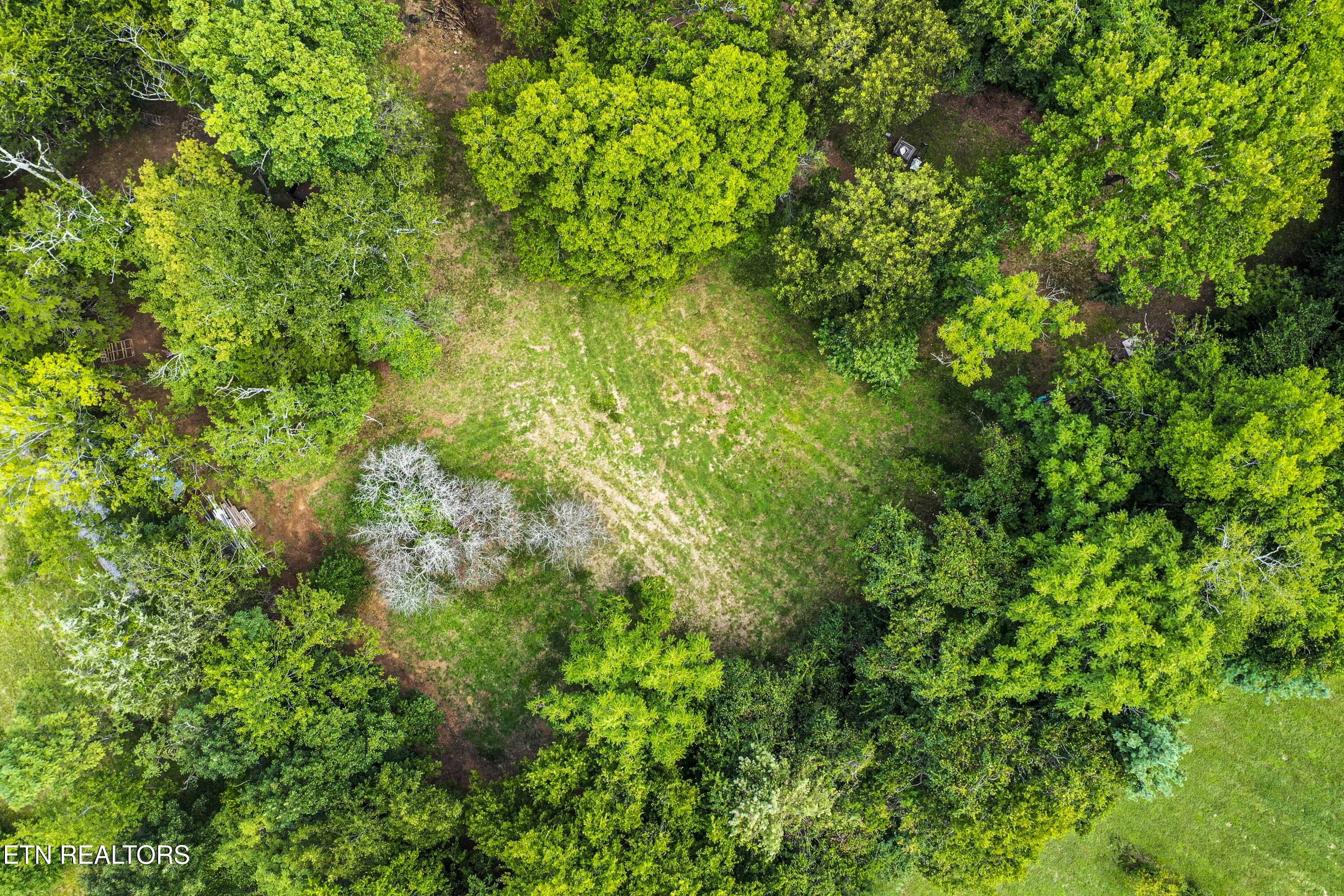 317 Everett Road Knoxville, TN 37934 - Photo 29 of 33 DJI_0519