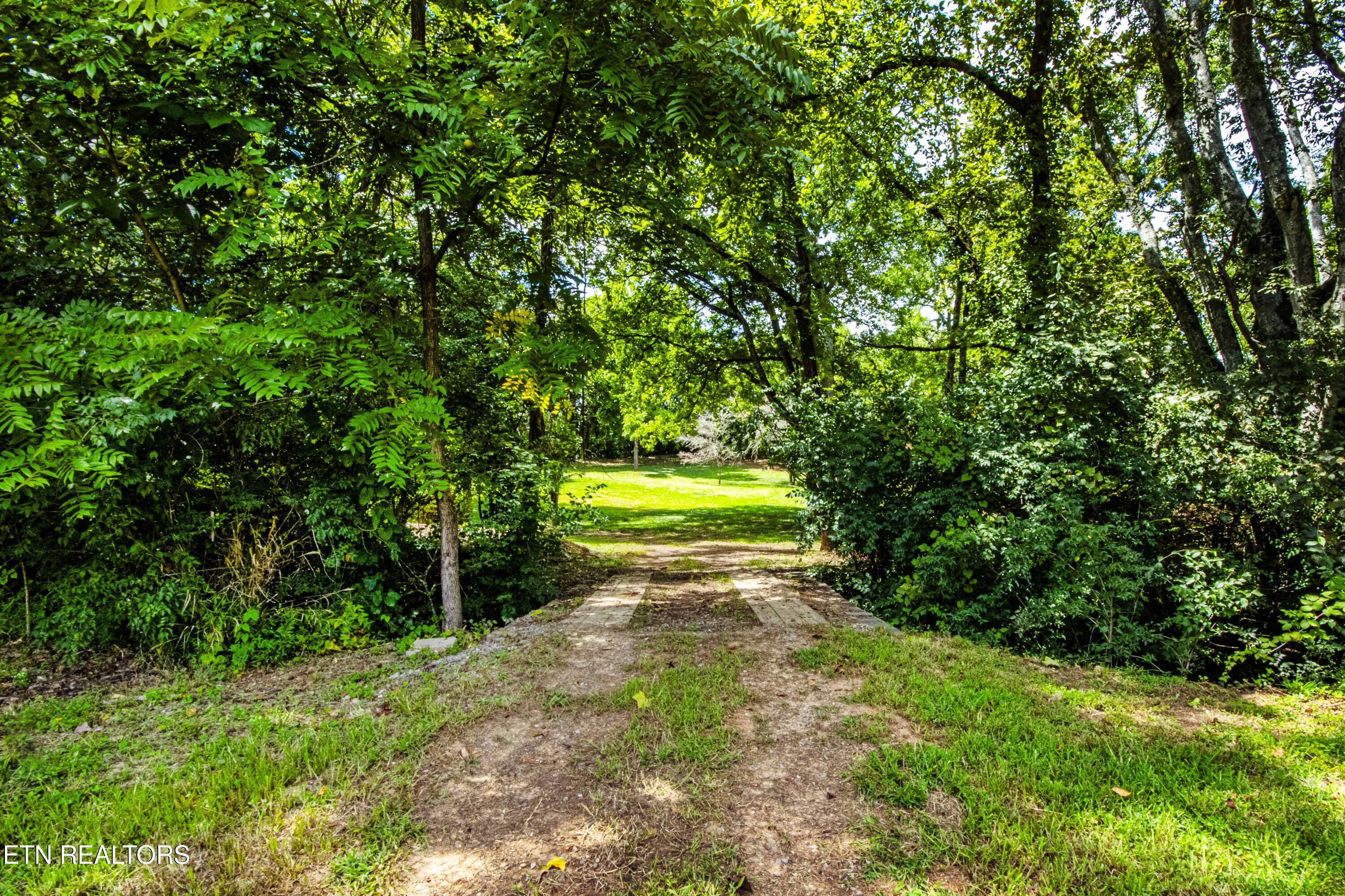 317 Everett Road Knoxville, TN 37934 - Photo 7 of 33 V19A4450