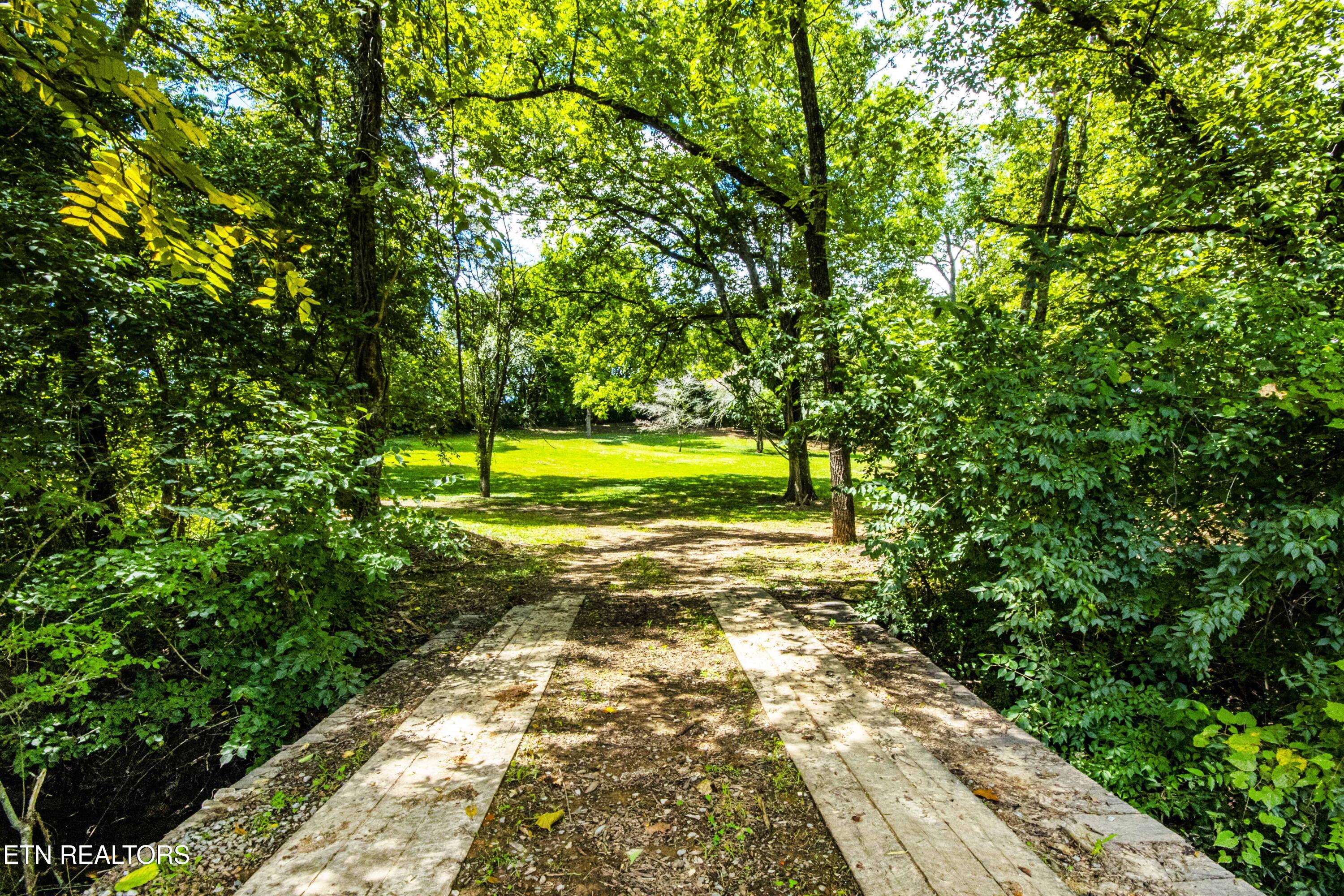 317 Everett Road Knoxville, TN 37934 - Photo 8 of 33 V19A4451