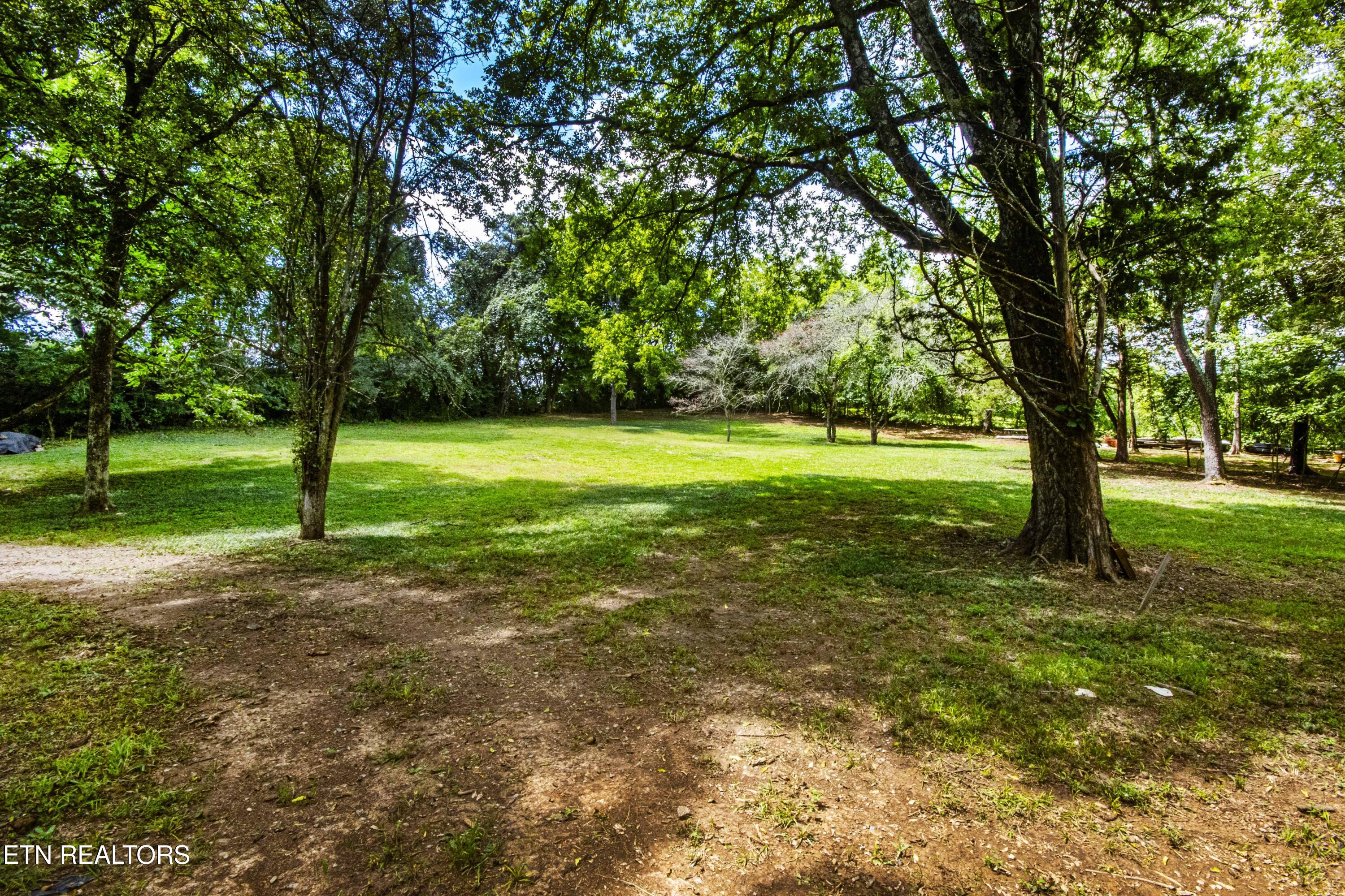 317 Everett Road Knoxville, TN 37934 - Photo 9 of 33 V19A4452