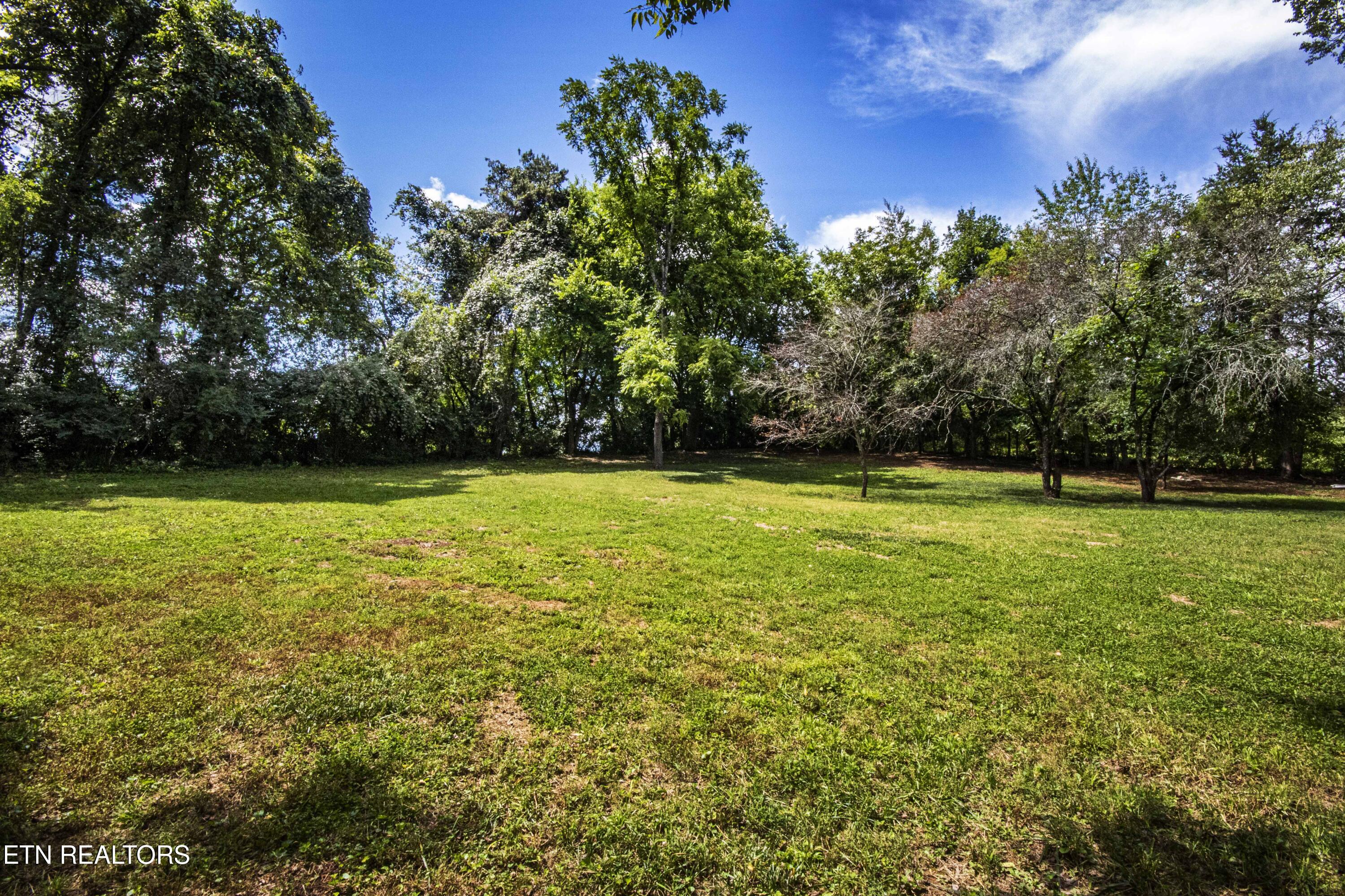 317 Everett Road Knoxville, TN 37934 - Photo 10 of 33 V19A4453