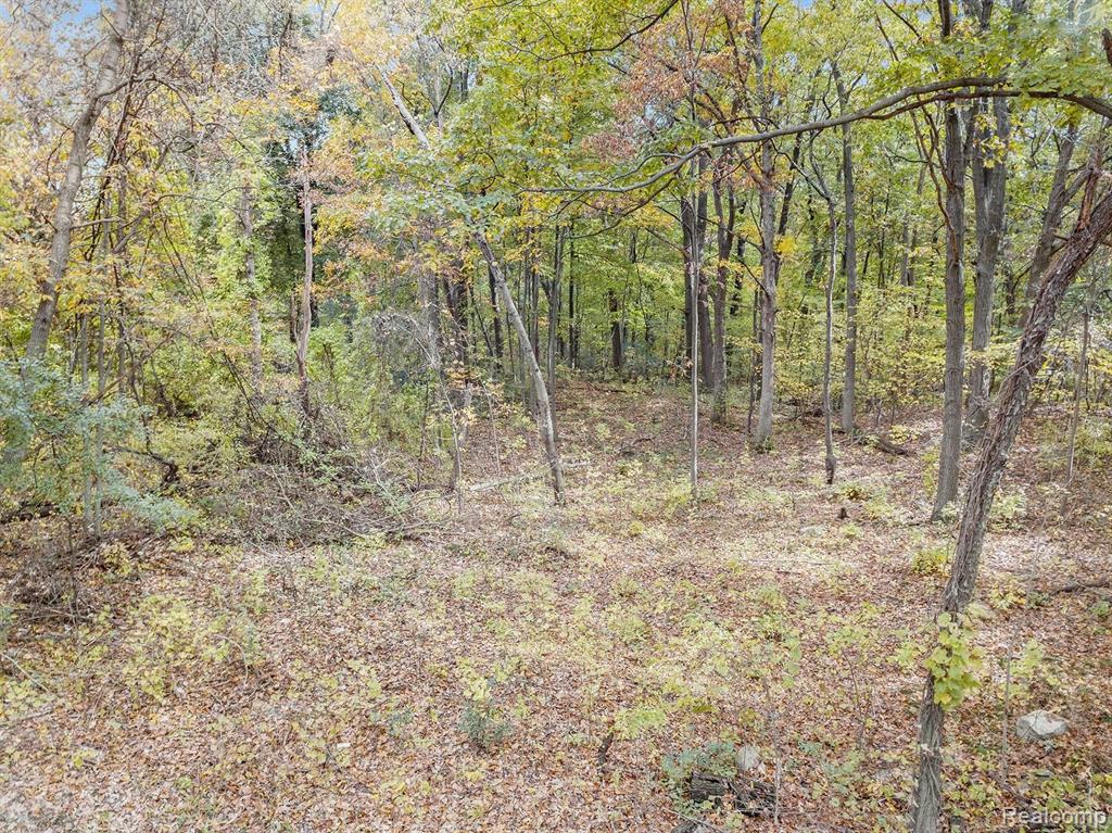 0 Foster Road Pontiac, MI 48342 - Photo 10 of 10
