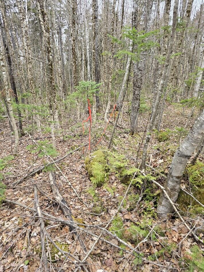 Lot 18-5 Camp Rd Mount Mount Chase, ME 04765 - Photo 12 of 14 20250506_143728