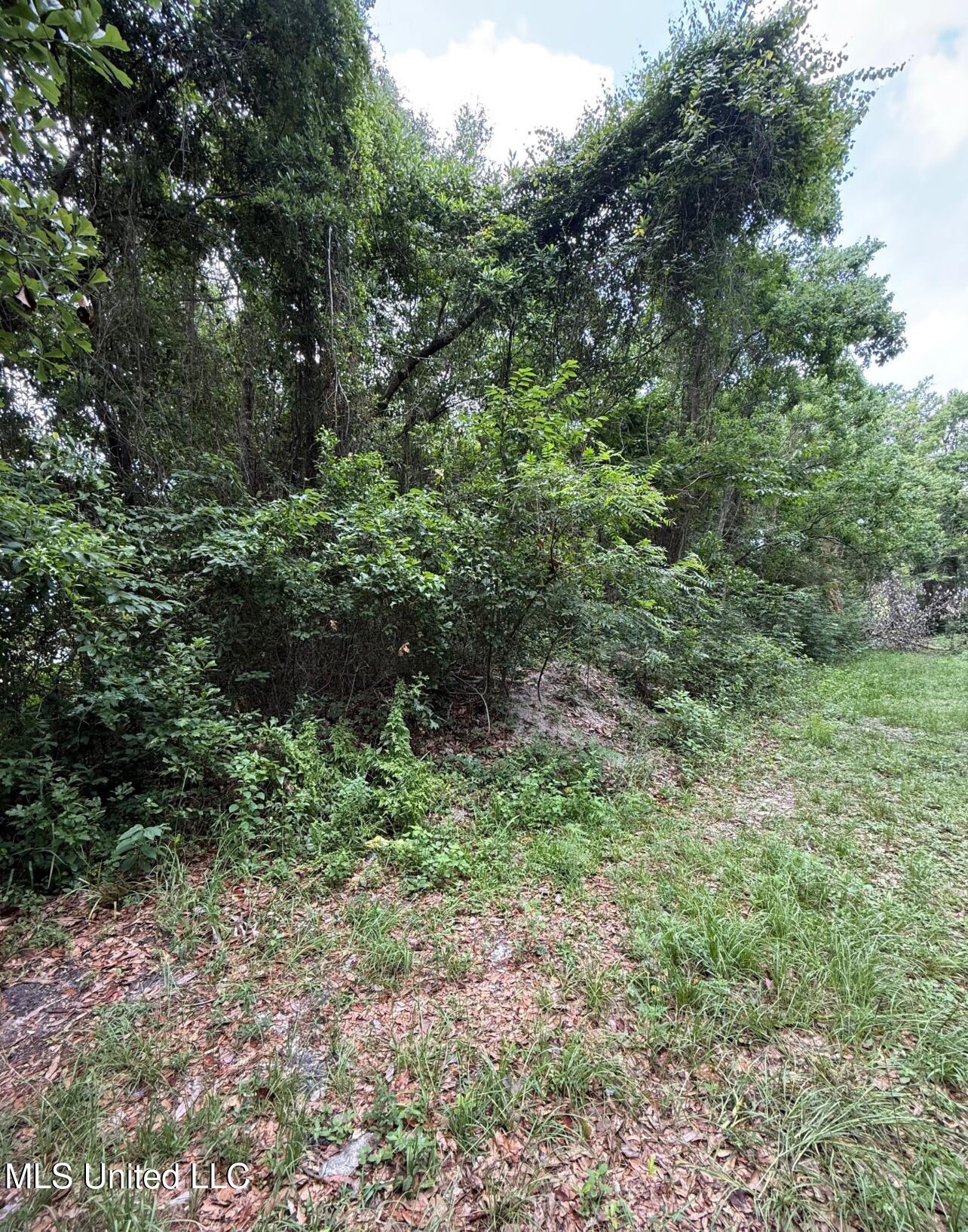 0 North Wright Avenue Long Beach, MS 39560 - Photo 2 of 3 LAND LISTING AERIALS - 4