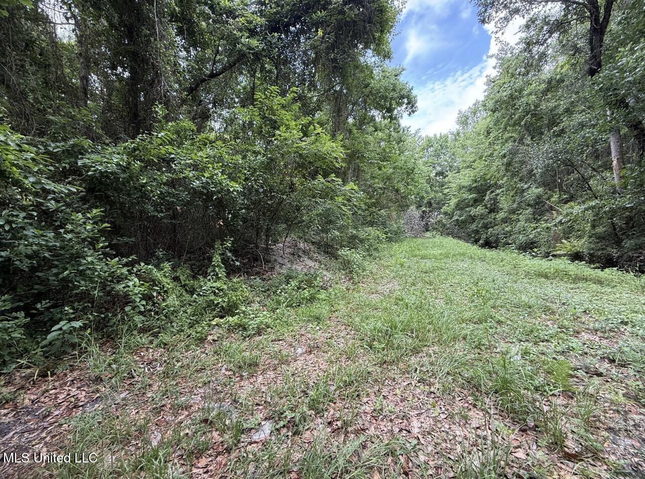 0 North Wright Avenue Long Beach, MS 39560 - Photo 3 of 3 LAND LISTING AERIALS - 3