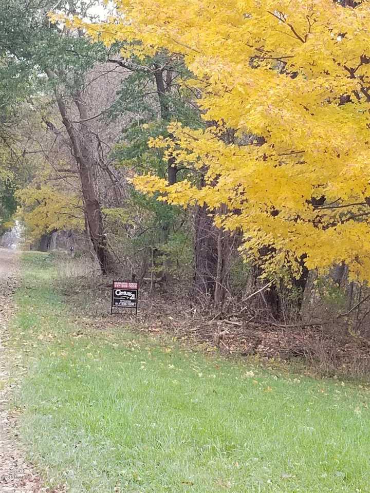 0 U Drive Drive Homer, MI 49245 - Photo 2 of 10