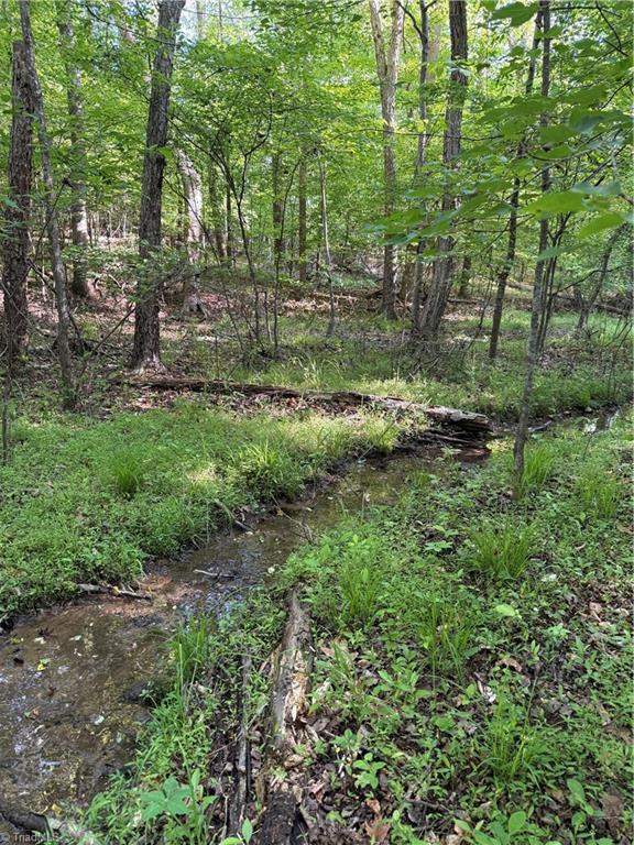851 Case School Road Mayodan, NC 27027 - Photo 47 of 50 Small creek on property