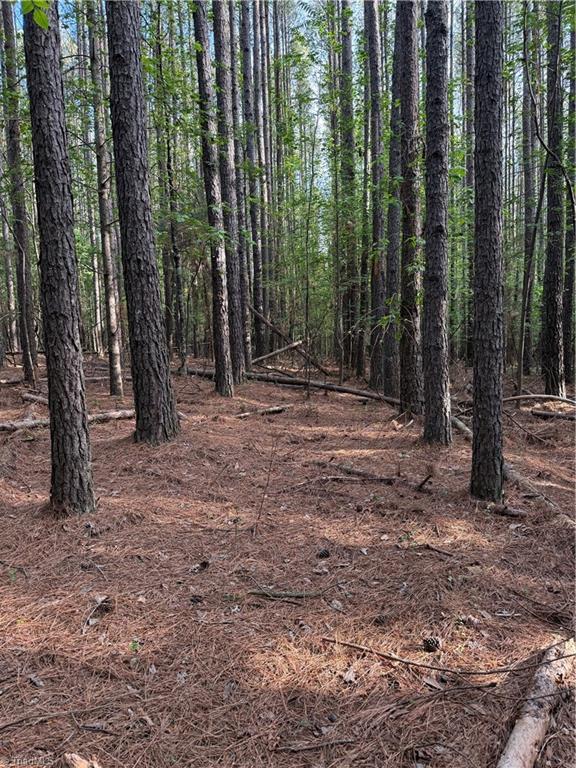 851 Case School Road Mayodan, NC 27027 - Photo 50 of 50 10+ acres planted in pines in the 1980's