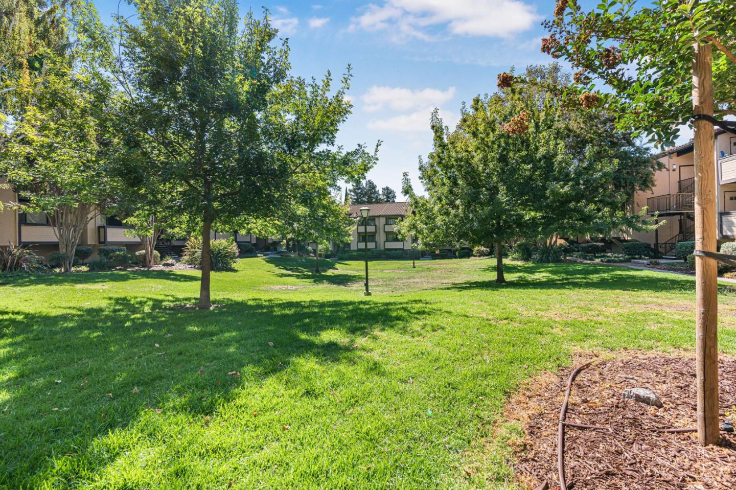 131 Wenatchee Common, Unit 14 Fremont, CA 94539 - Photo 21 of 30 a view of a park with trees