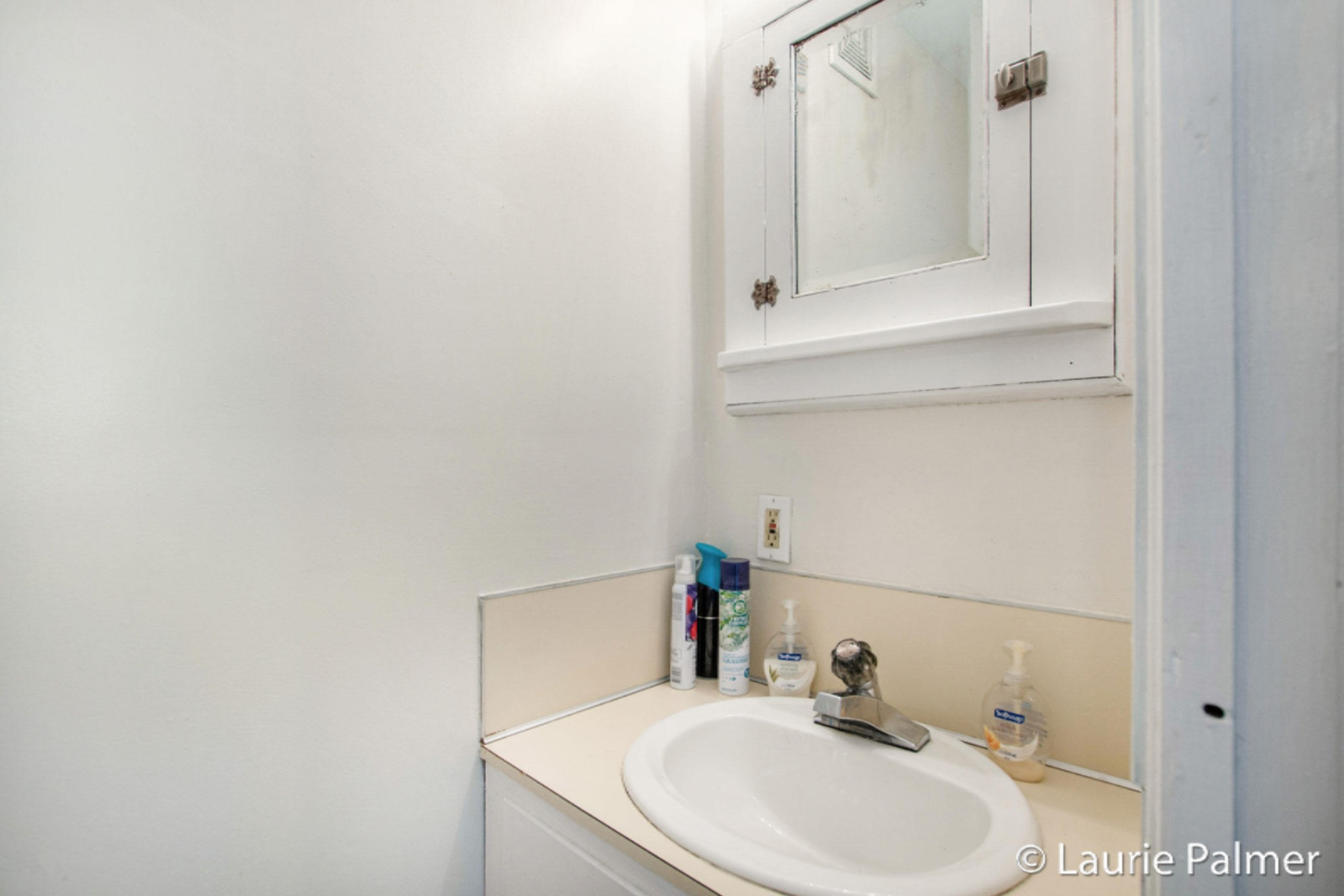 320 Alderman Street Belding, MI 48809 - Photo 13 of 34 DSC08628