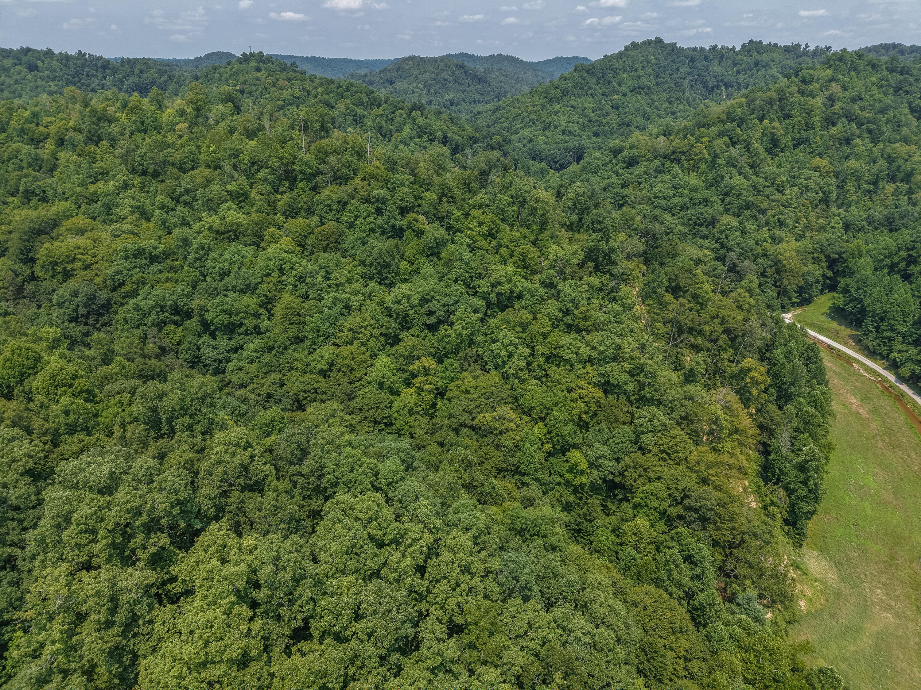 3750 Hunting Creek Road Rousseau, KY 41366 - Photo 10 of 52 DJI_20260727141236_0101_D
