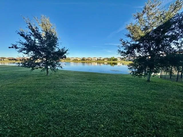 a view of a big yard with swimming pool