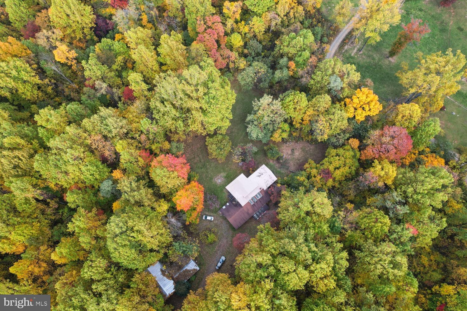 13138 Mt Paran Church Road Linden, VA 22642 - Photo 24 of 33 a picture of flowers