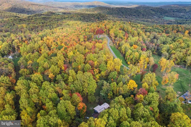 a view of a yard with an outdoor space