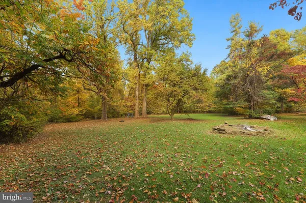 a view of a field of grass and trees