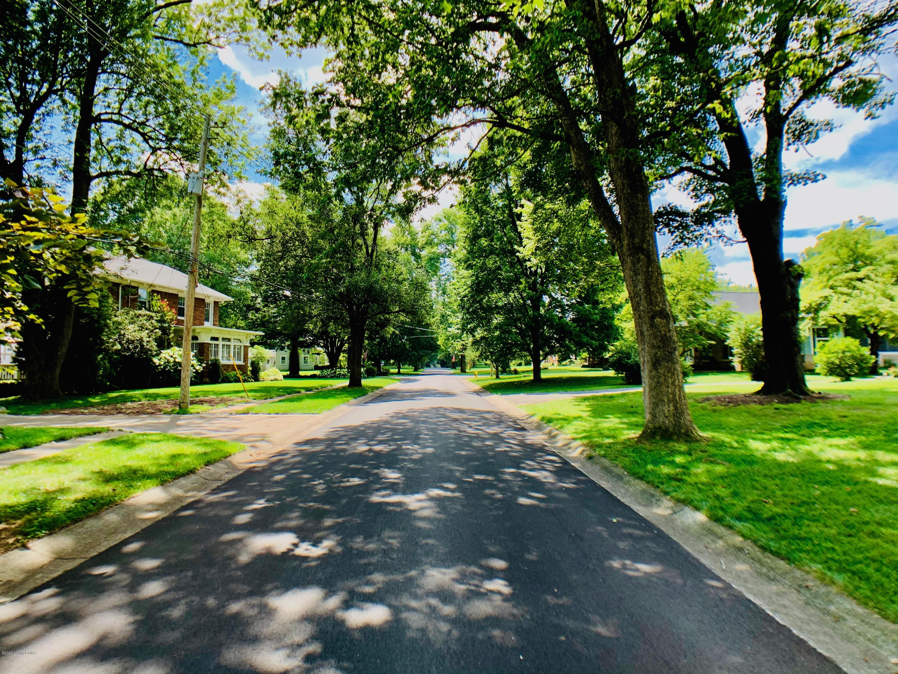 3214 Chickadee Road Louisville, KY 40213 - Photo 61 of 61 Looking down the street, the other direction, toward the Golf Course - Gorgeous
