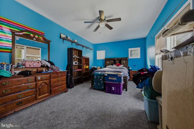 a view of a backyard with a slide