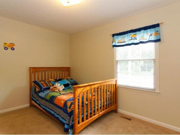 3757 Phillips Chapel Road Haw River, NC 27258 - Photo 10 of 23 Gallery Image 10